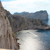 фото из отзыва ID 1025474