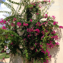 фото из отзыва ID 1028314