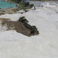 фото из отзыва ID 1030963