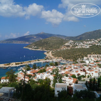 фото из отзыва ID 1030963