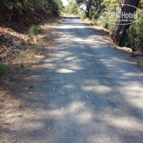 фото из отзыва ID 1030963