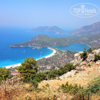 фото из отзыва ID 1030963