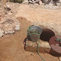 фото из отзыва ID 1030963