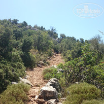 фото из отзыва ID 1030963