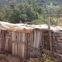 фото из отзыва ID 1030963