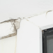 фото из отзыва ID 1032867