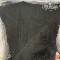 фото из отзыва ID 1039691