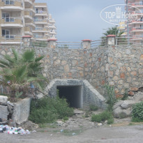 фото из отзыва ID 1039691