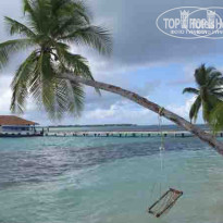 фото из отзыва ID 104455