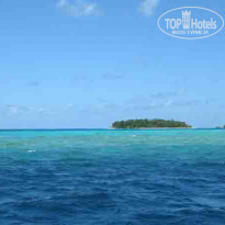 фото из отзыва ID 104455