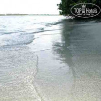 фото из отзыва ID 104455