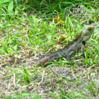 фото из отзыва ID 104455