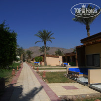 фото из отзыва ID 1045108