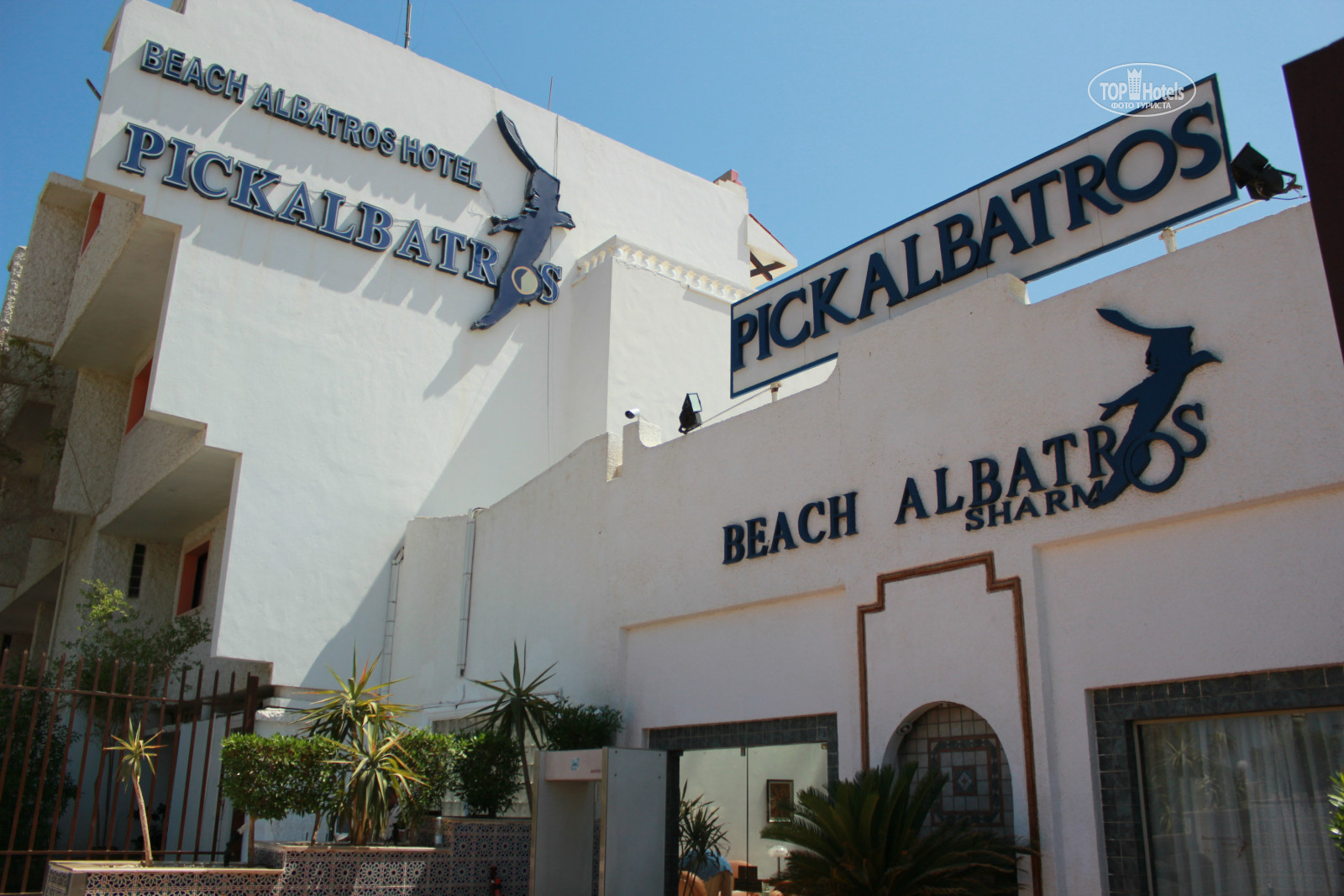 Albatros sharm 4. Albatros Sharm 4 фитнес. Albatros Hotels logo. Старый рынок от отеля Альбатрос Шарм. Albatros Beach Club видео.