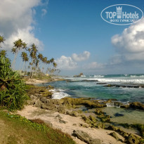 фото из отзыва ID 1057053