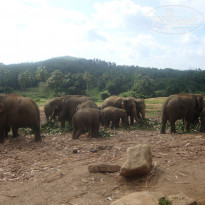 фото из отзыва ID 1057053