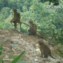 фото из отзыва ID 1057053