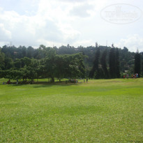 фото из отзыва ID 1057053