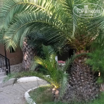 фото из отзыва ID 1057573