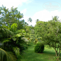 фото из отзыва ID 1062325