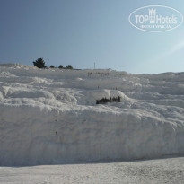 фото из отзыва ID 1074481