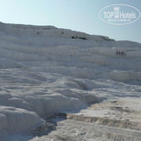 фото из отзыва ID 1074481