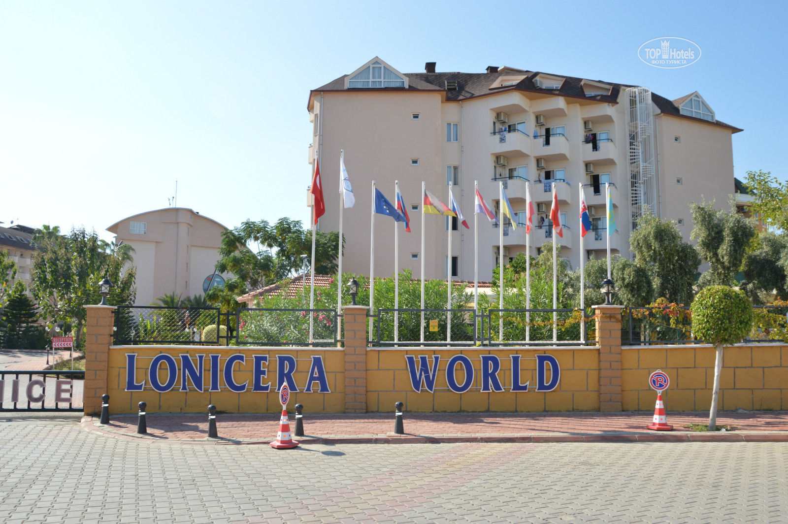 Lonicera world карта