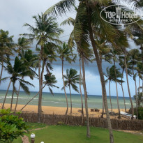 фото из отзыва ID 1077039