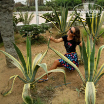 фото из отзыва ID 1077718