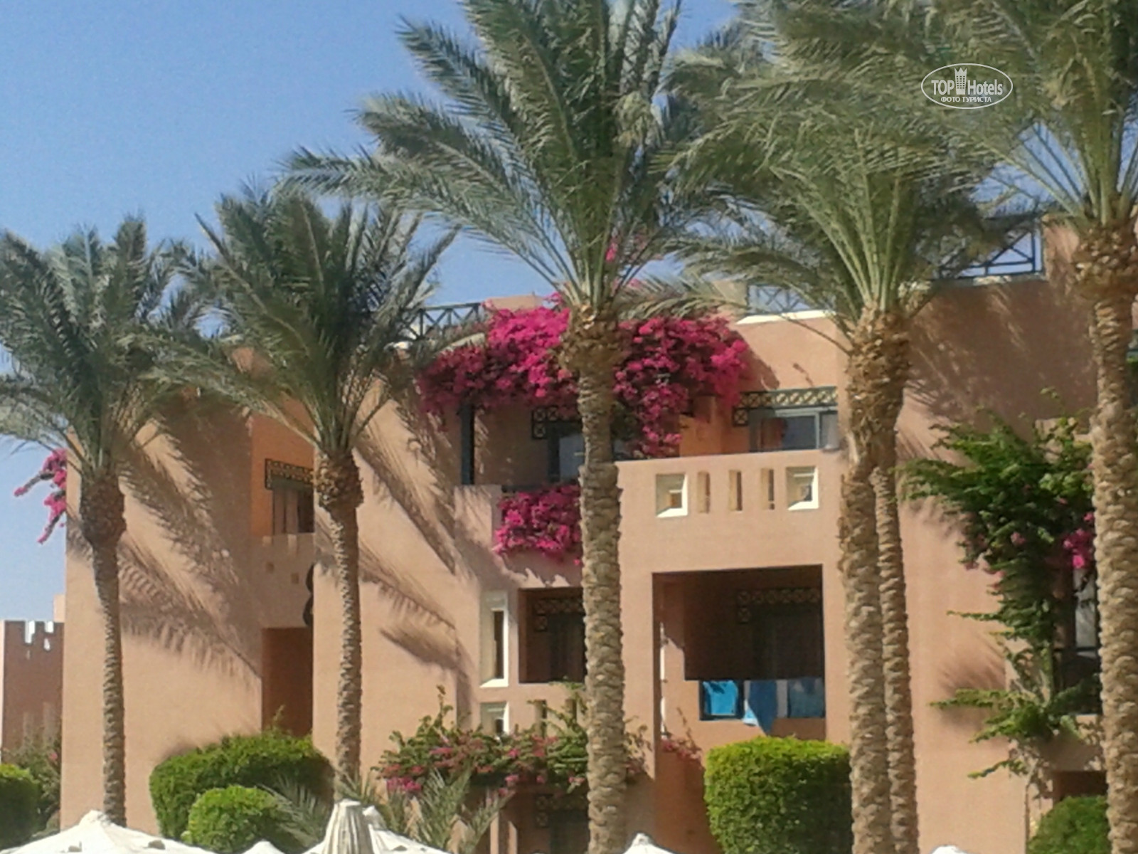 Rehana sharm resort aqua 4 отзывы