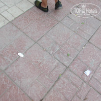 фото из отзыва ID 1080332