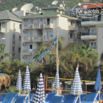 фото из отзыва ID 1084269