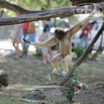 фото из отзыва ID 1088800