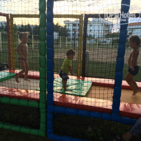 фото из отзыва ID 1089398