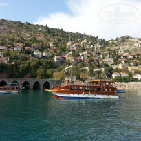 фото из отзыва ID 1086296