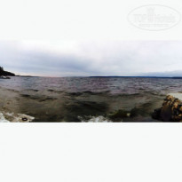 фото из отзыва ID 1095917