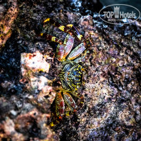 фото из отзыва ID 1096187
