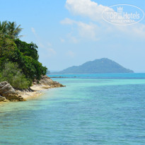 фото из отзыва ID 1097653