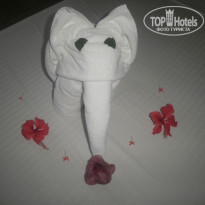 фото из отзыва ID 1098139