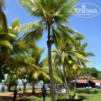 фото из отзыва ID 1095001