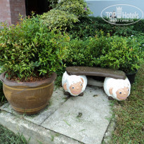 фото из отзыва ID 1109398