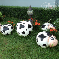 фото из отзыва ID 1109398