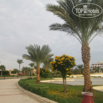 фото из отзыва ID 1110748