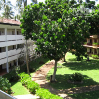 фото из отзыва ID 1110863