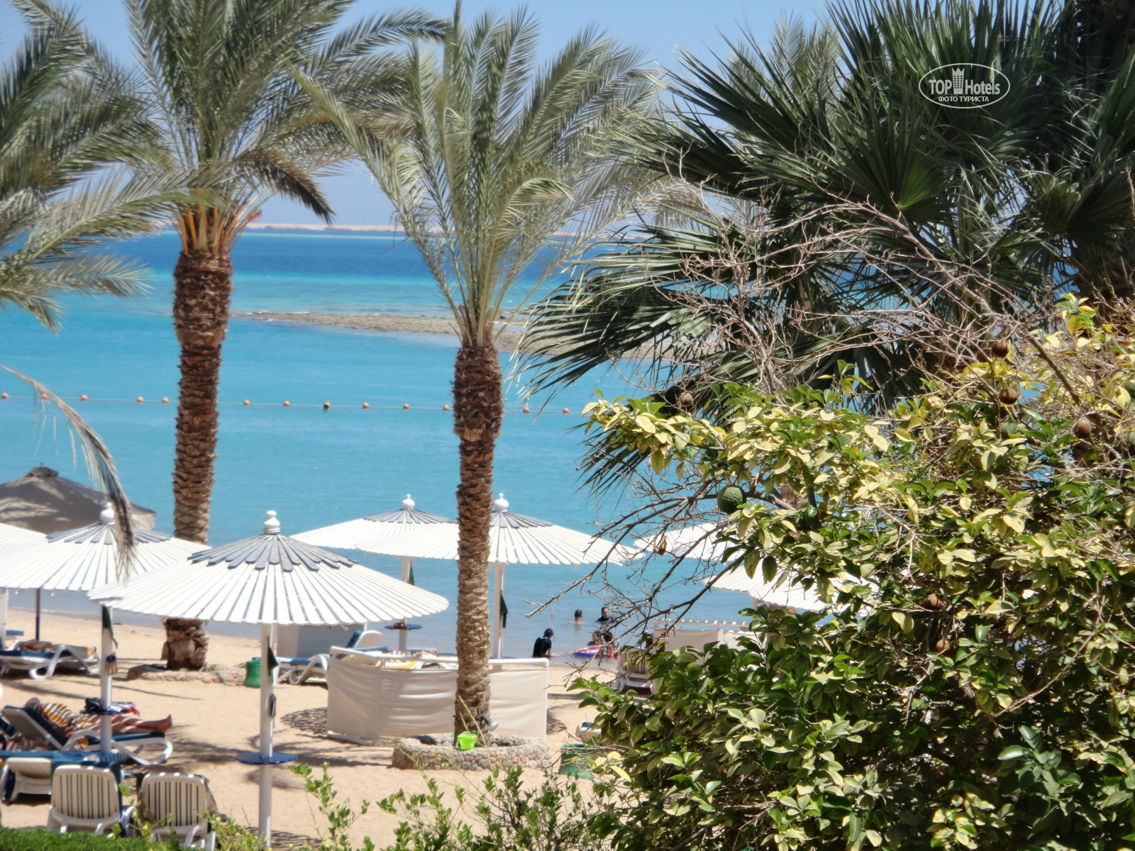 Swiss inn resort hurghada 5. Хилтон Хургада Резорт 5. Свисс ИНН Резорт Хургада 5. Хилтон Хургада Резорт 5 фото.