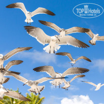 фото из отзыва ID 1117487