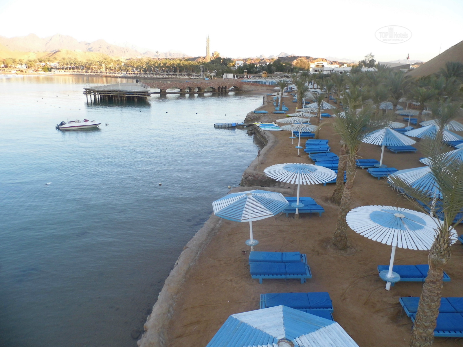 Albatros sharm 4. Beach Albatros Sharm 4. Albatros Sharm 4 море. Альбатрос Шарм напке. Beach Albatros Sharm Pegas.