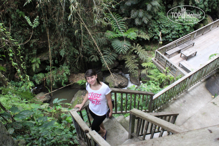 Фотографии отеля  Alam Ubud Culture Villa And Residence 5*