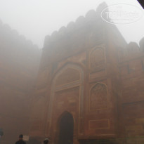 фото из отзыва ID 1130485