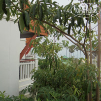 фото из отзыва ID 1135147